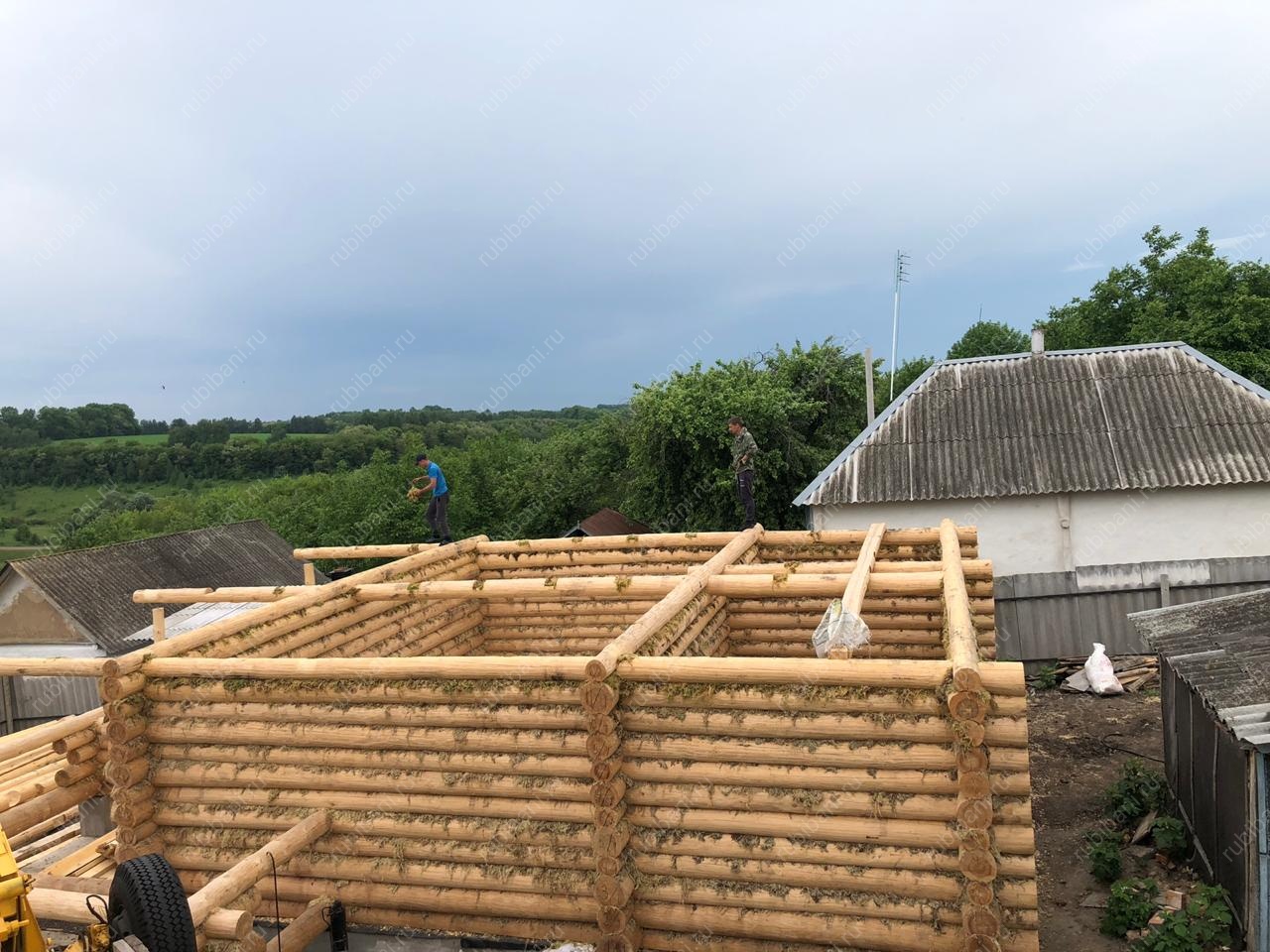 Дом-баня 8 на 8 сруб в чашу — фото 20 Дом-баня 8 на 8 сруб в чашу — фото 20